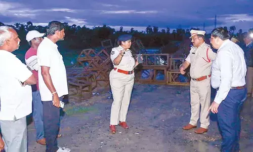 Water bodies brimming with inflows in Nellore dist