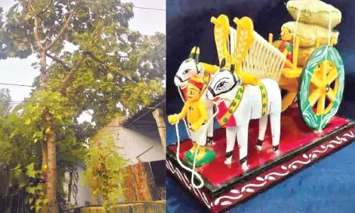 Scientific breakthrough revives ‘Poniki’ tree, securing future of Nirmal handicrafts