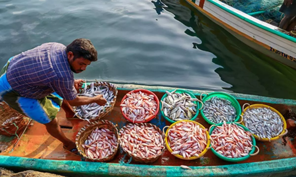 Union MoS George Kurian urges fisheries workers to register under NFDP Union MoS George Kurian urges fisheries workers to register under NFDP