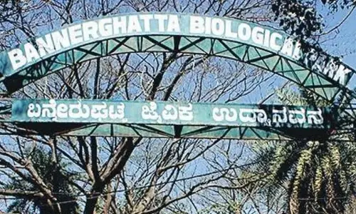Bannerghatta Biological Park introduces five-year animal adoption programme