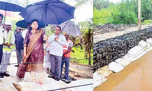 Complete construction of barrier by Dec: Collector