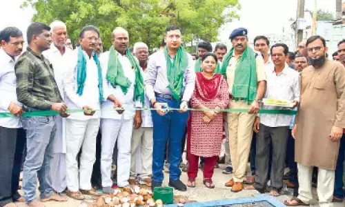 Cotton procurement begins at market yard