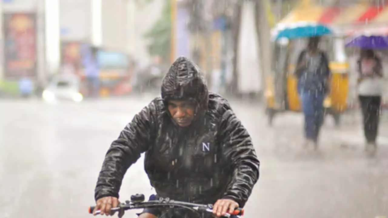 Cyclone Montha: Unseasonal rain lashes MP, IMD issues alerts Cyclone Montha: Unseasonal rain lashes MP, IMD issues alerts
