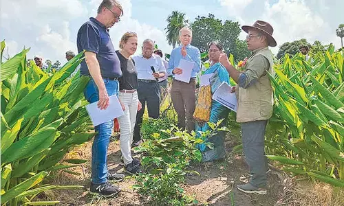 Farmers told to improve soil fertility through intercropping