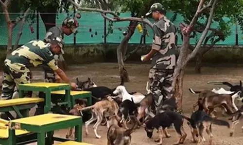 Mann Ki Baat: PM Modi hails BSF, CRPF for increasing Indian breed dogs in their contingents