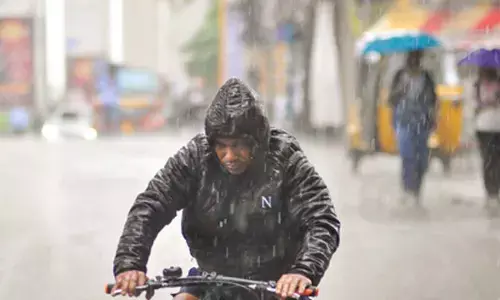 Cyclone Montha: Unseasonal rain lashes MP, IMD issues alerts