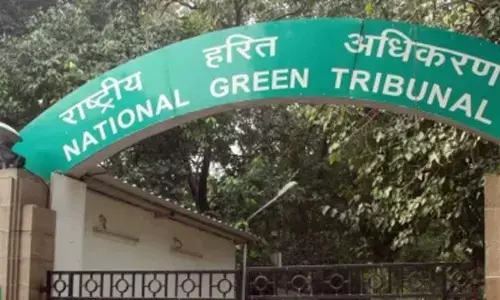 NGT takes suo motu cognisance of pharma effluent discharge in Telanganas Sangareddy