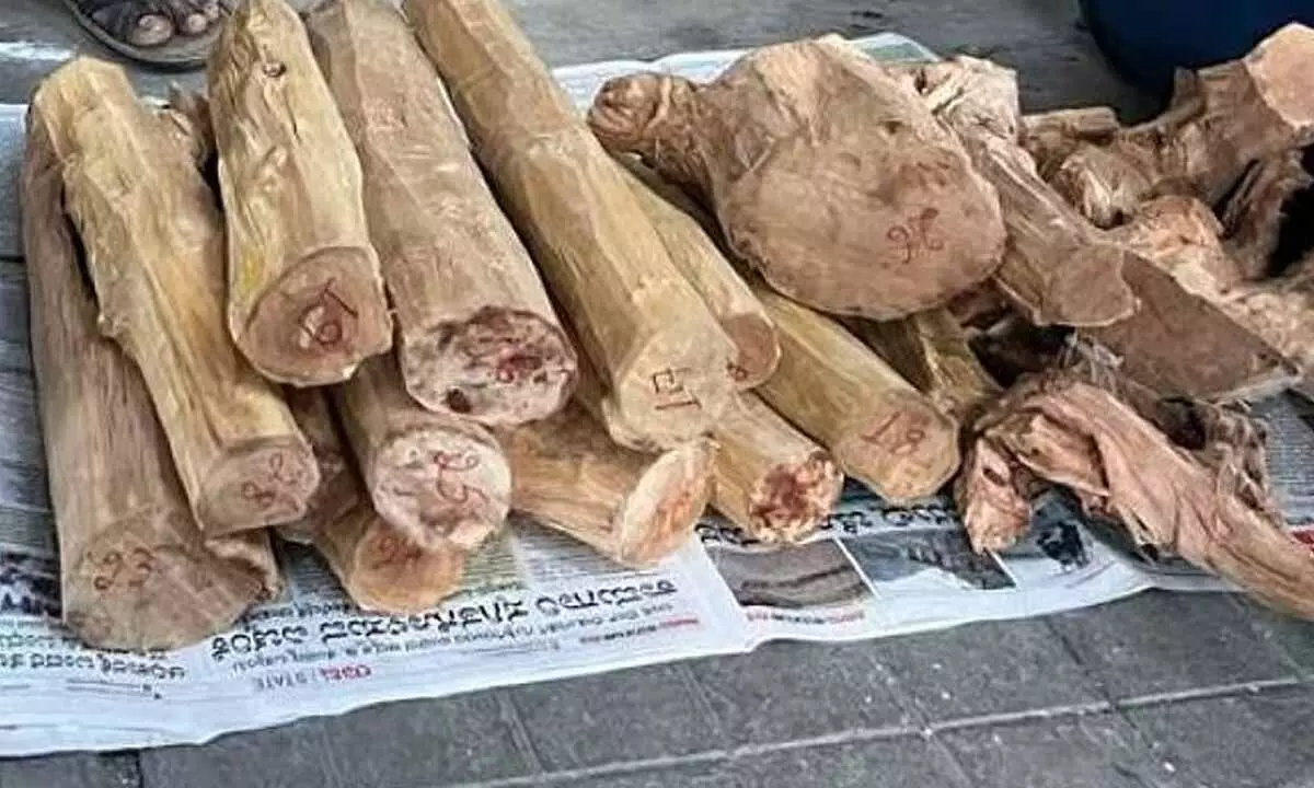 Sandalwood smuggling racket busted in Bengaluru, four arrested