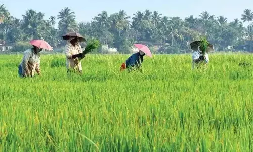 GIST team visits natural farming fields