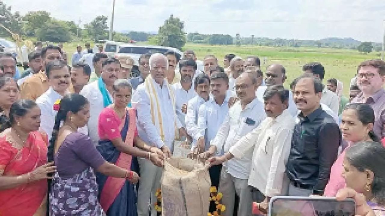 Only TG govt purchases paddy directly from farmers: Srihari Only TG govt purchases paddy directly from farmers: Srihari