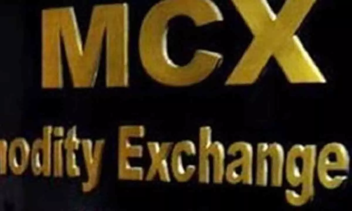 MCX trading halted for over four hours due to technical glitch, probe initiated MCX trading halted for over four hours due to technical glitch, probe initiated