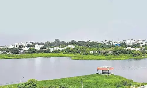 After overcoming hiccups, HYDRAA to breathe life into 5 city lakes soon