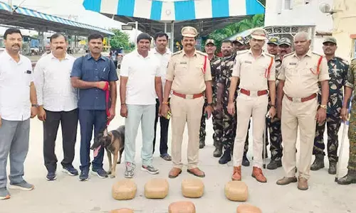 2 arrested, 14 kg ganja seized