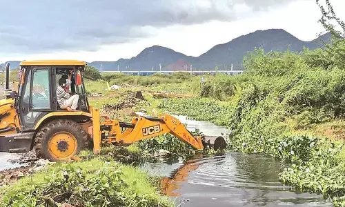 VMC sets up 41 rehabilitation centres