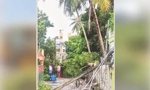 Two killed as cyclone creates havoc in Konaseema