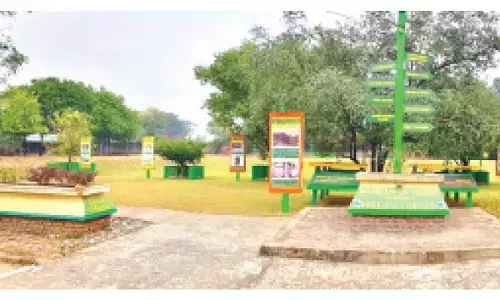 Manuka, a new addition to Chandigarh’s Museum of Trees