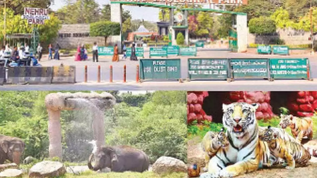 Hyderabad Zoo marks Vigilance week with integrity pledge, plantation drive Hyderabad Zoo marks Vigilance week with integrity pledge, plantation drive