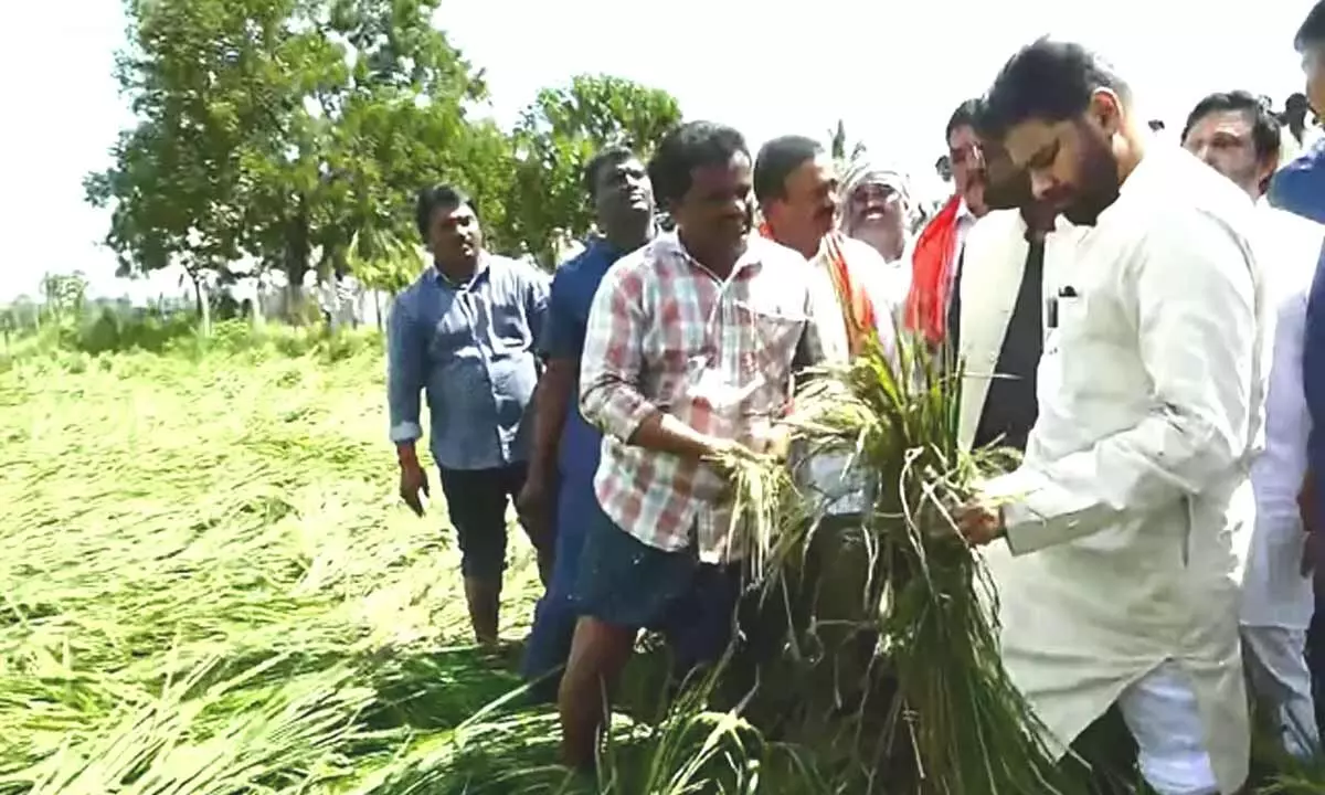 Pawan Kalyan Visits Cyclone-Affected Farmers in Krishna District