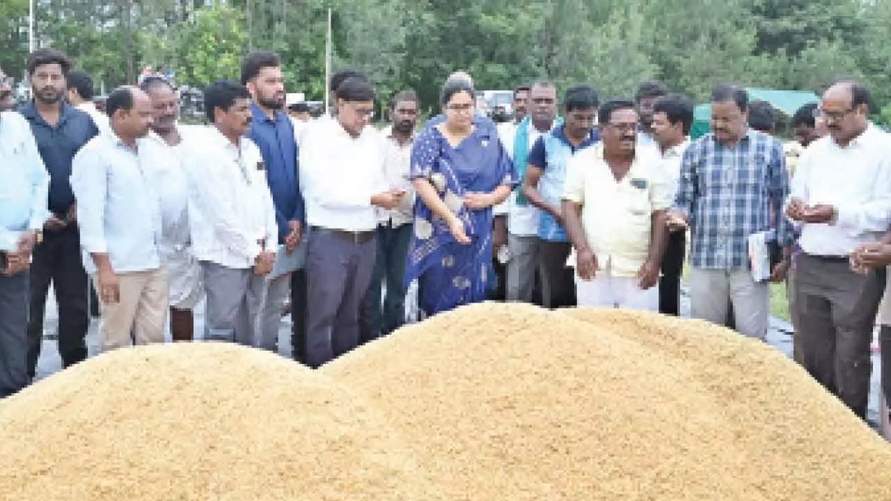 Paddy procurement must be streamlined: DC Abhilasha