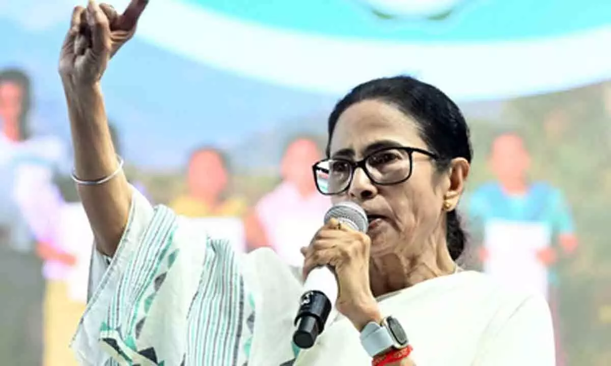 CM Mamata hits out at BJP over rising incidents of suicide from fear of SIR-NRC in Bengal CM Mamata hits out at BJP over rising incidents of suicide from fear of SIR-NRC in Bengal