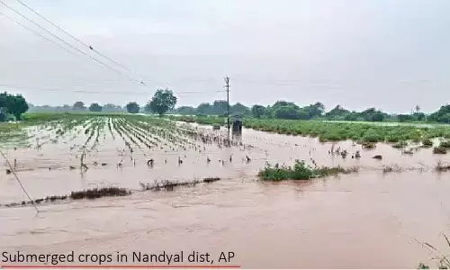 Cyclone Montha ravages Andhra