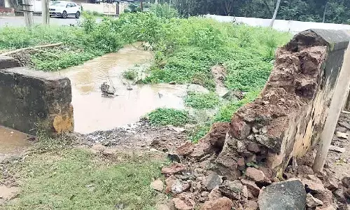 Cyclone Montha impacts 84 schools in Anakapalli