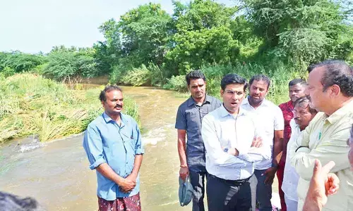 Cyclone Montha spares major damage in Chittoor, Tirupati