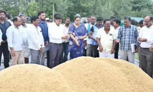 Paddy procurement must be streamlined: DC Abhilasha