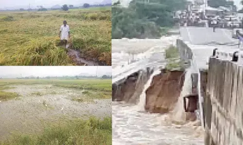 Rains unleash widespread devastation in Palamuru