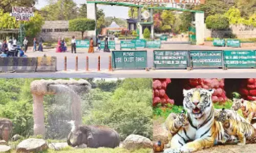 Hyderabad Zoo marks Vigilance week with integrity pledge, plantation drive