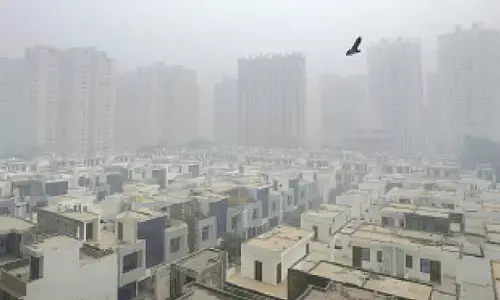 Delhiites at higher stroke risk due to pollution, say doctors