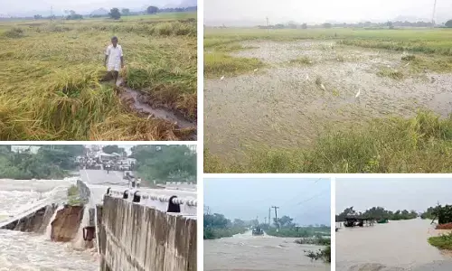 Rains unleash widespread devastation in Palamuru