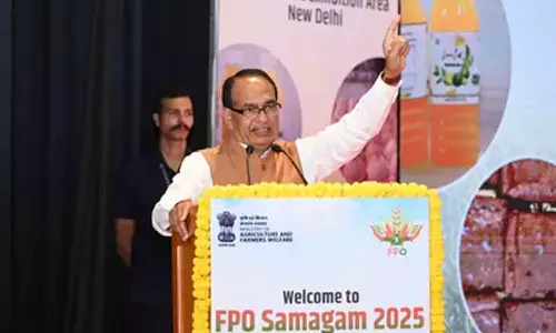 Govt promises strict action against counterfeit seeds and pesticides