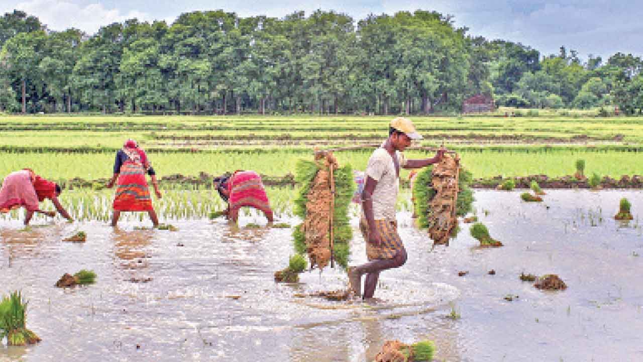 ‘Farming, farmers’ welfare became part of govt agenda only after 2014’