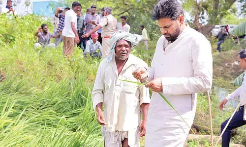 Pawan assures full support to cyclone-hit farmers