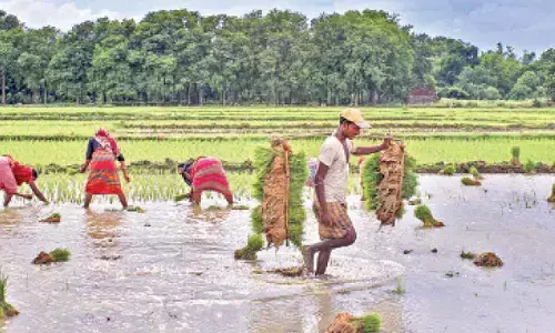 ‘Farming, farmers’ welfare became part of govt agenda only after 2014’