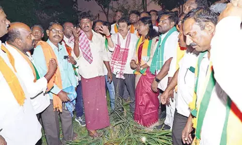 BJP demands Congress govt purchase sprouted paddy from farmers