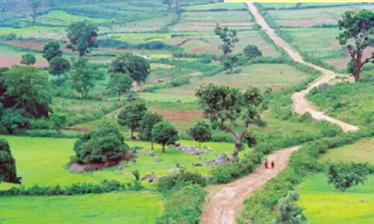 AP to showcase tourism potential on global stage AP to showcase tourism potential on global stage