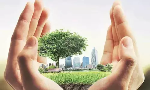 JICA and BCG Build India’s First Digital Public Infrastructure for Forests with Forest Stack Launch