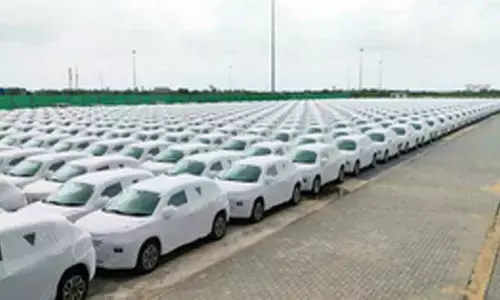 Maruti Suzuki India, Tata Motors report resilient domestic sales in Oct over GST cuts