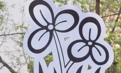 Trinamool plans mega anti-SIR rally in Kolkata on day one of 1st stage of revision exercise