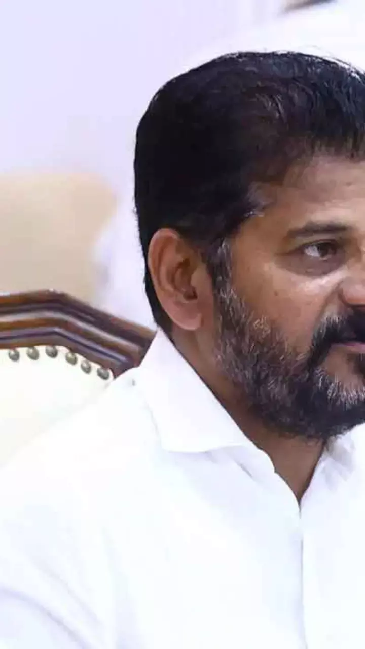 Telangana CM Revanth Reddy Seeks International Investment