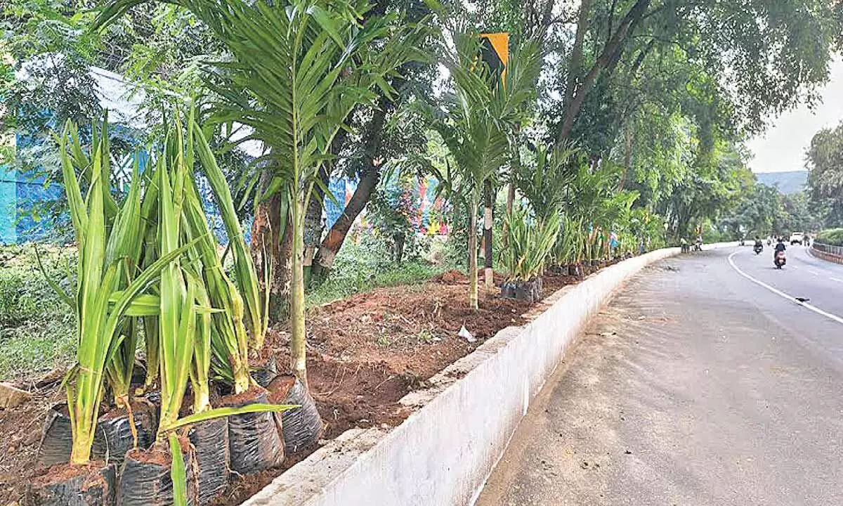 City beautification gets going at a brisk pace