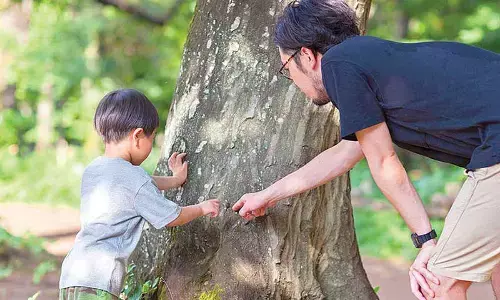 Educating for ignorance