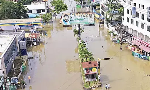 Submit rain damage reports without delay, Collectors told