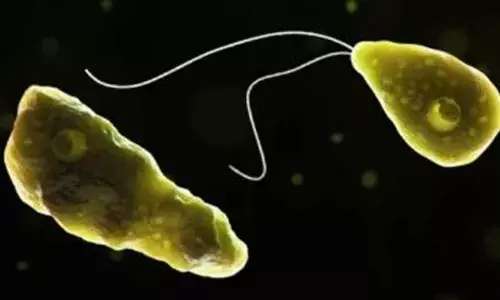 Lakshadweep woman diagnosed with amoebic meningoencephalitis in Keralas Kochi