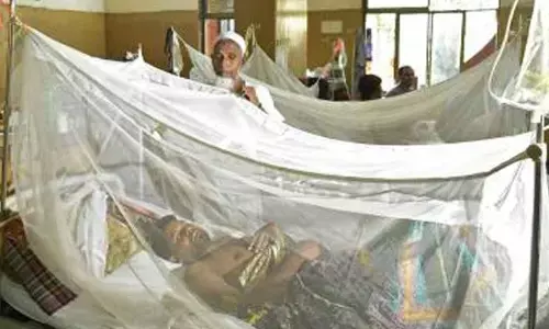 Bangladesh: Five more people die of dengue, 2025 death toll crosses 280