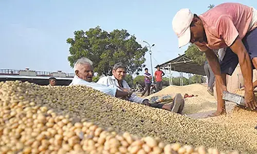 Relief for soybean farmers as govt sets up procurement centers