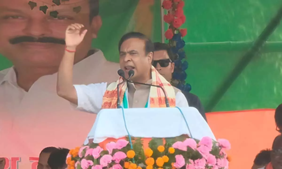 RJD, Shahabuddin family responsible for terror in Siwan: Assam CM in Bihar