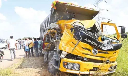 Chevella banyans battle: Heritage vs highway makes NH 163 a deadly corridor